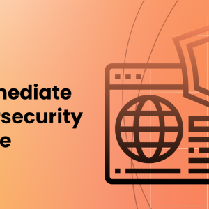 Intermediate Cybersecurity