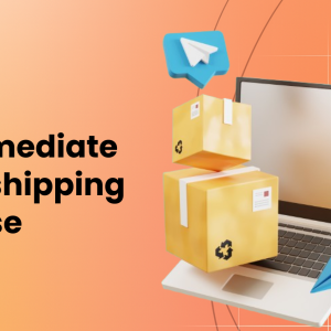 Intermediate Dropshipping